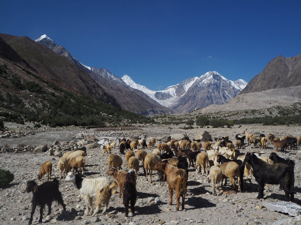 Trek okolo osudové osmitisícovky Nanga Parbat